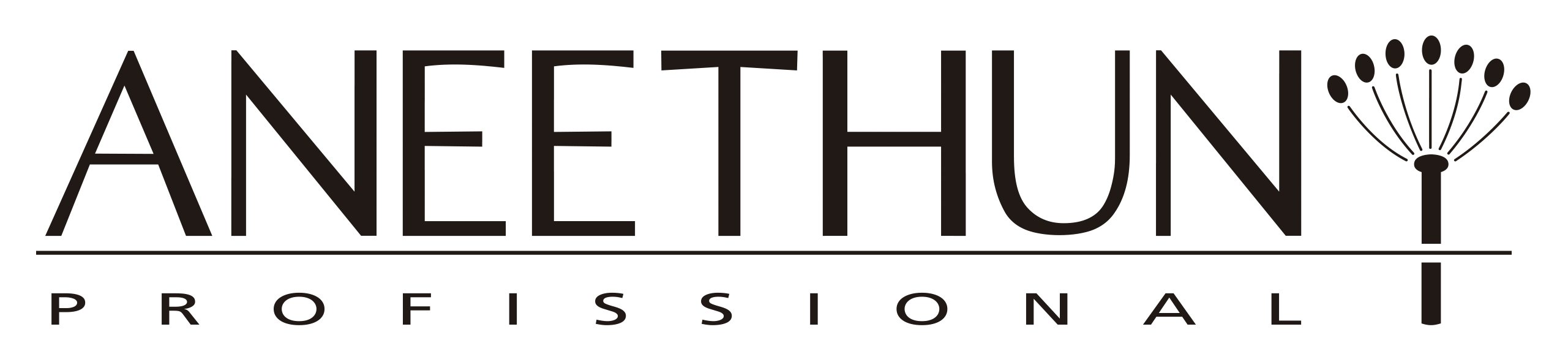 Logo Aneethun Profissional - Distribuidor Autorizado